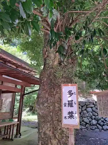 丹生川上神社（下社）(奈良県)