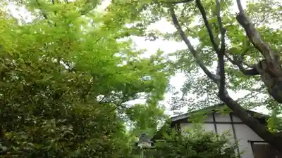 天龍寺(京都府)