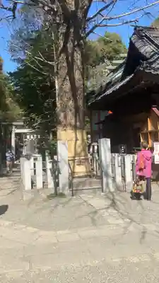 田無神社(東京都)