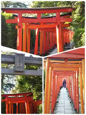 根津神社の鳥居
