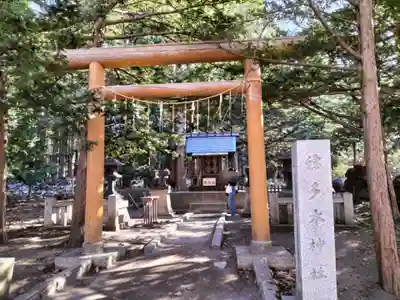 北海道神宮の鳥居