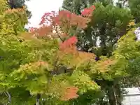 伊勢の国 四天王寺の自然