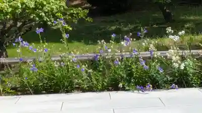 智積院(京都府)