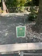 伊豆山神社の建物その他