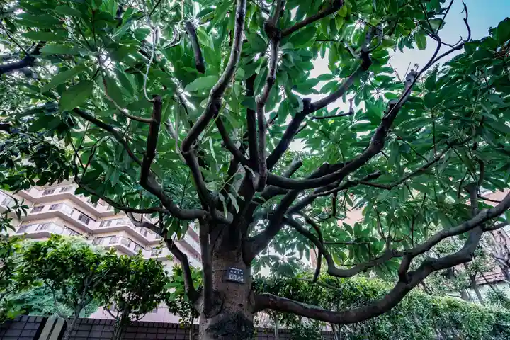 恵比寿神社(恵比寿ガーデンプレイス)の庭園