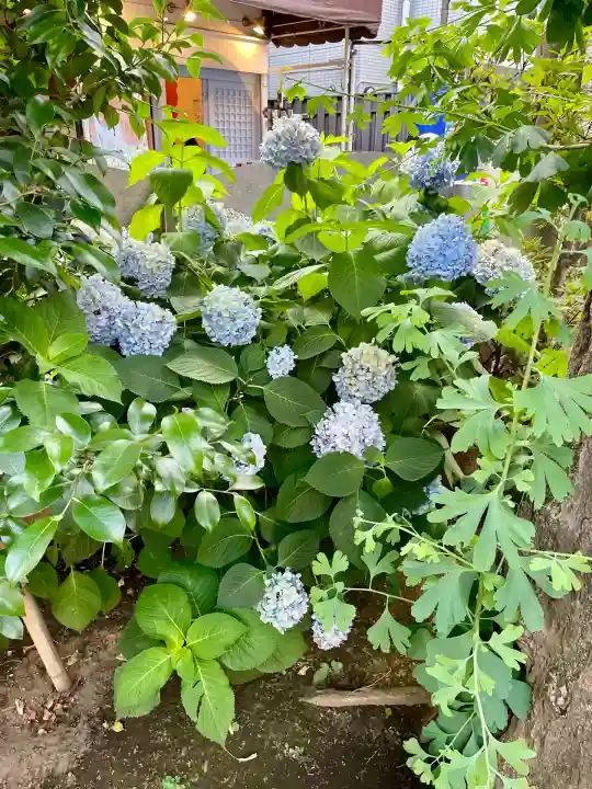 皆中稲荷神社(東京都)