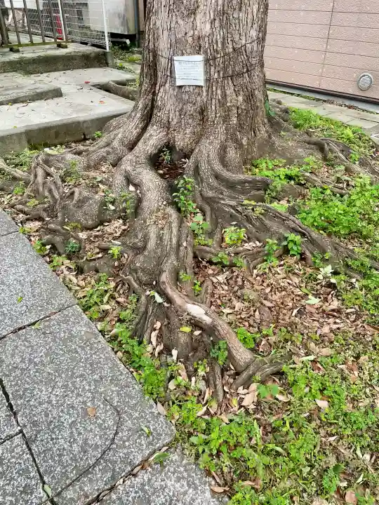 子神社(神奈川県)