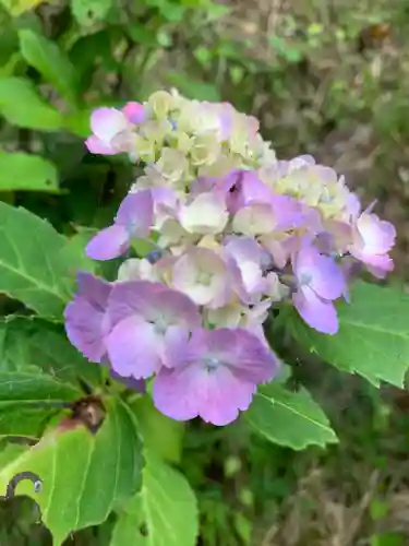 持寳院(多氣山不動尊)(栃木県)