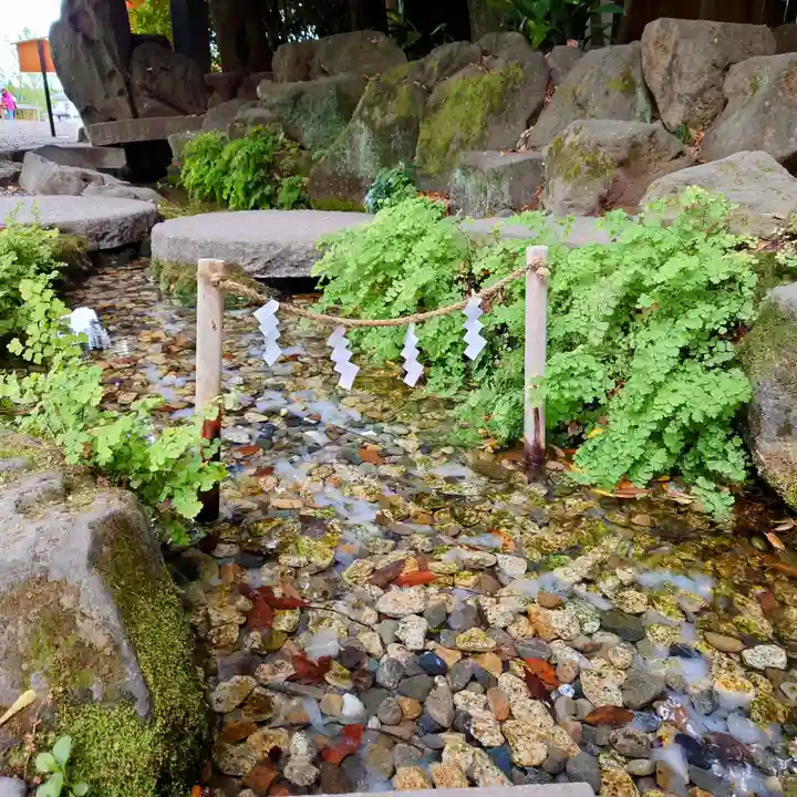 川越氷川神社(埼玉県)