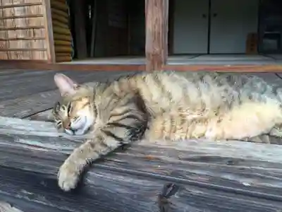 富貴寺(大分県)