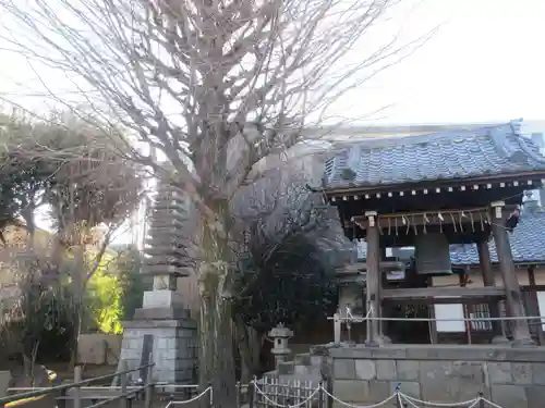 新井薬師（梅照院）(東京都)
