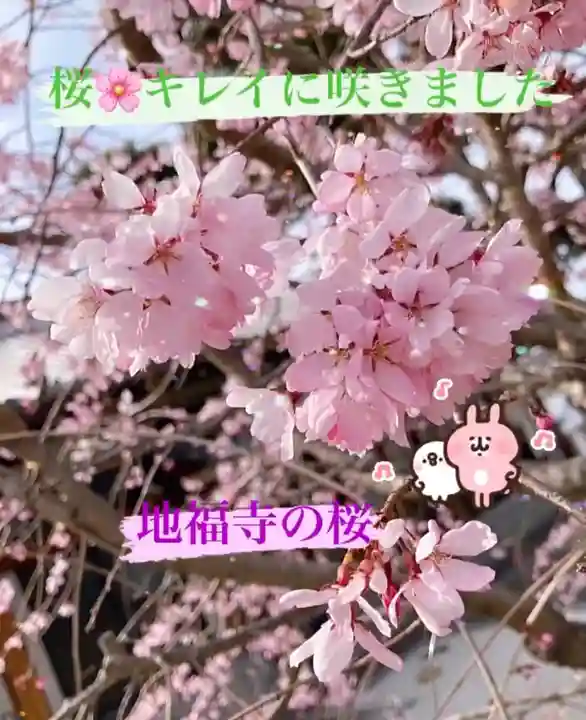 松本山 地福禅寺の自然