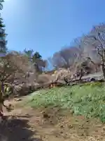 不動寺(埼玉県)