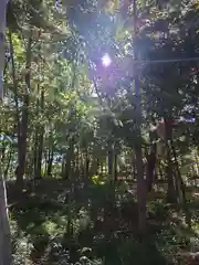 秩父神社(埼玉県)