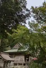 玉置神社(奈良県)