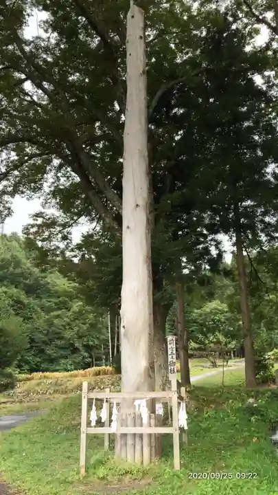 諏訪大社上社前宮のその他建物