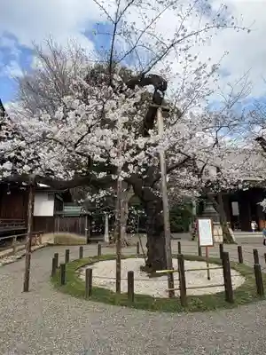靖國神社(東京都)