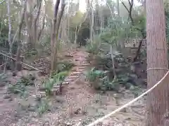 熊野神社の自然