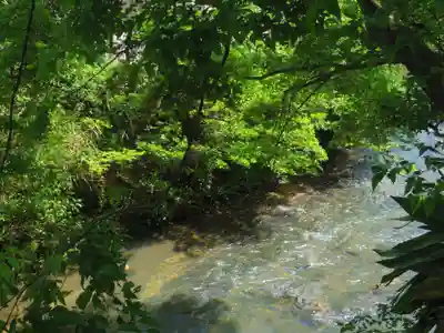蛭子神社の周辺