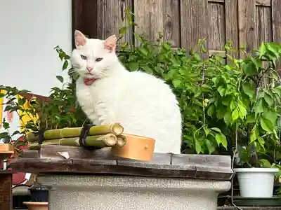 梅宮大社(京都府)