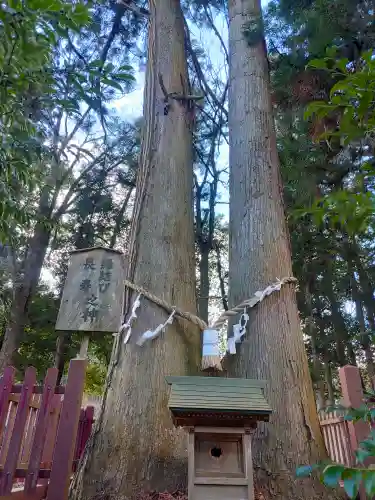 都々古別神社(八槻)の自然