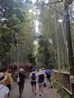 野宮神社(京都府)