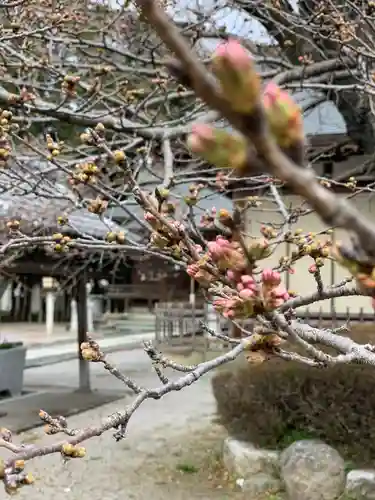 加茂別雷神社の庭園