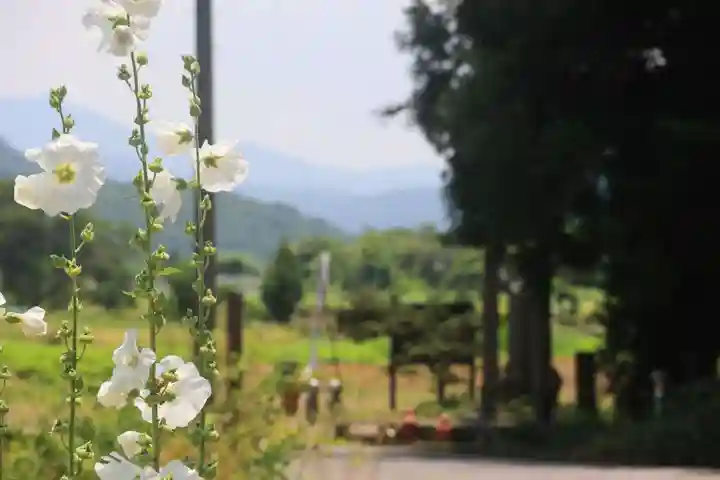 御札神社の景色