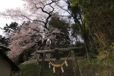 田村神社の鳥居