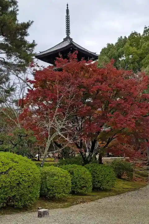 仁和寺(京都府)