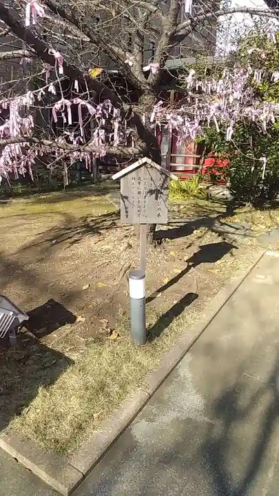 桜神宮(東京都)