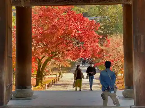 南禅寺(京都府)