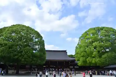 明治神宮(東京都)