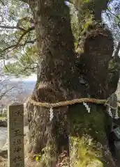 玉祖神社(大阪府)