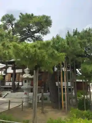 南蔵院のその他建物