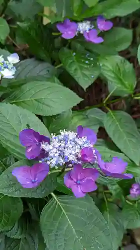真正極楽寺（真如堂）(京都府)
