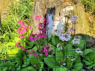 粟鹿神社の自然