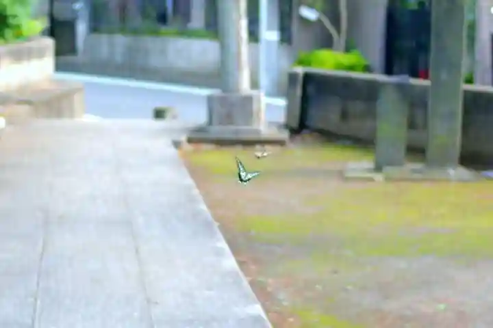 子之三島神社の動物