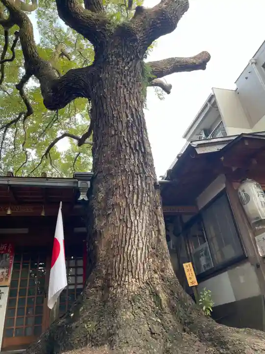 若一神社(京都府)