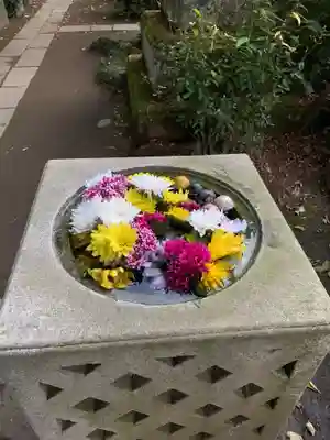 大宝八幡宮の手水舎