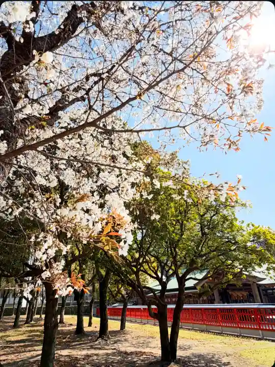 十日恵比須神社(福岡県)