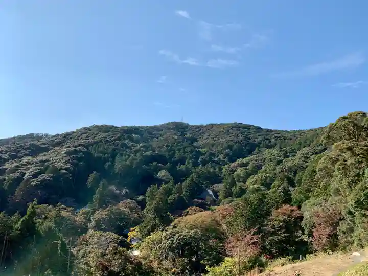 普門寺(切り絵御朱印発祥の寺)の景色