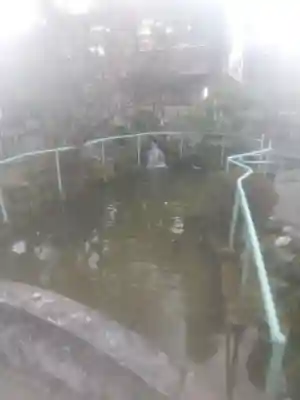 新橋浅間神社(静岡県)