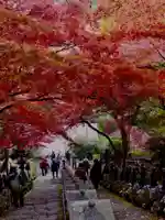 大山寺(神奈川県)