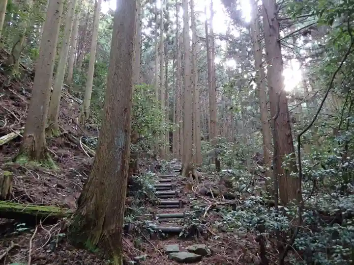 島大国魂神社の自然
