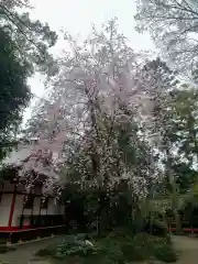 冠稲荷神社(群馬県)