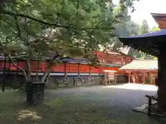 丹生都比売神社の本殿