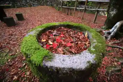 鰐淵寺の手水舎