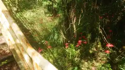 龍宮之宮の自然