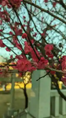 北野神社(東京都)